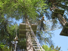 Forêt aventure Vercorin